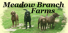 Meadow Branch Farms